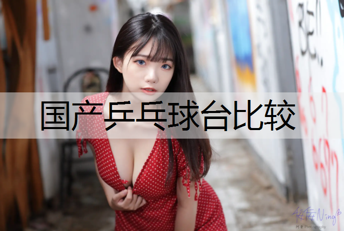国产乒乓球台比较
