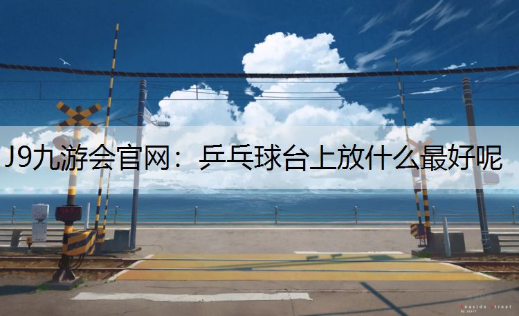 J9九游会官网：乒乓球台上放什么最好呢