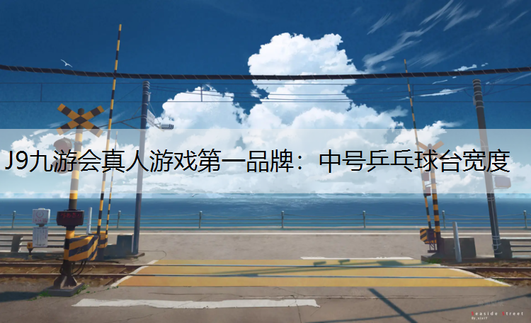 J9九游会真人游戏第一品牌：中号乒乓球台宽度