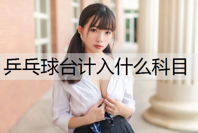 乒乓球台计入什么科目
