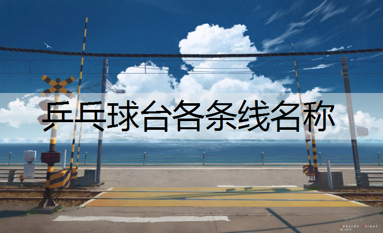 乒乓球台各条线名称