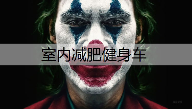 室内减肥健身车