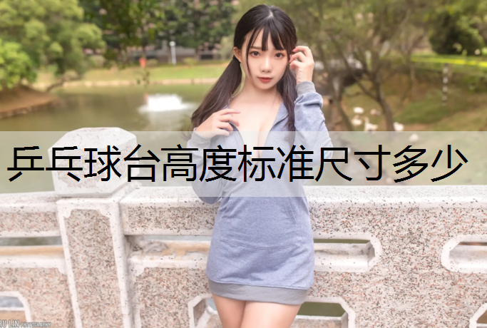 乒乓球台高度标准尺寸多少