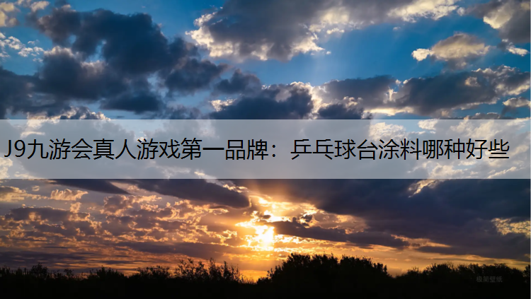 乒乓球台涂料哪种好些