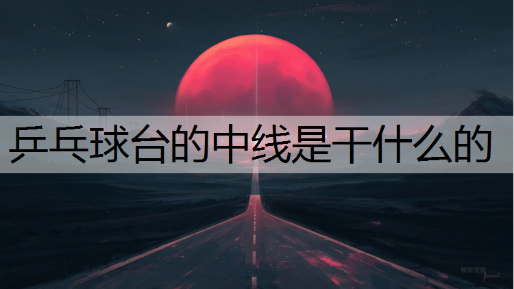 乒乓球台的中线是干什么的