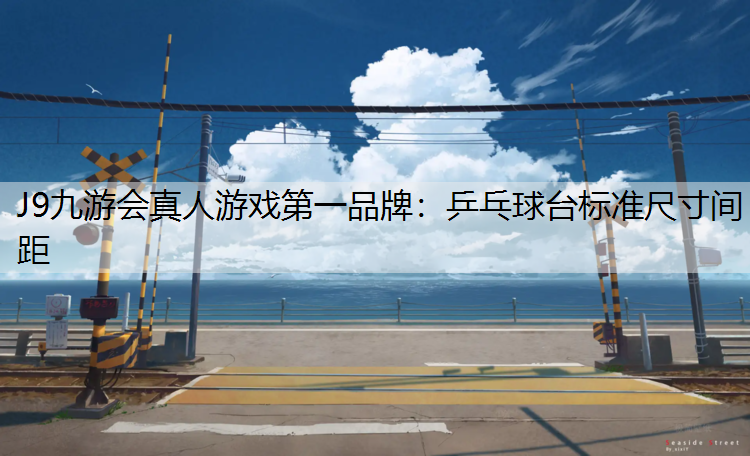 乒乓球台标准尺寸间距
