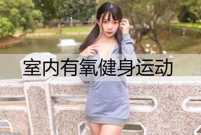 室内有氧健身运动