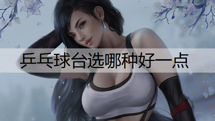 乒乓球台选哪种好一点