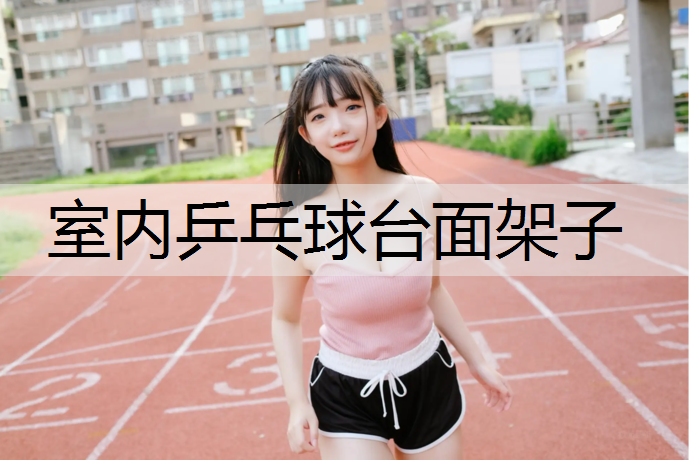 室内乒乓球台面架子