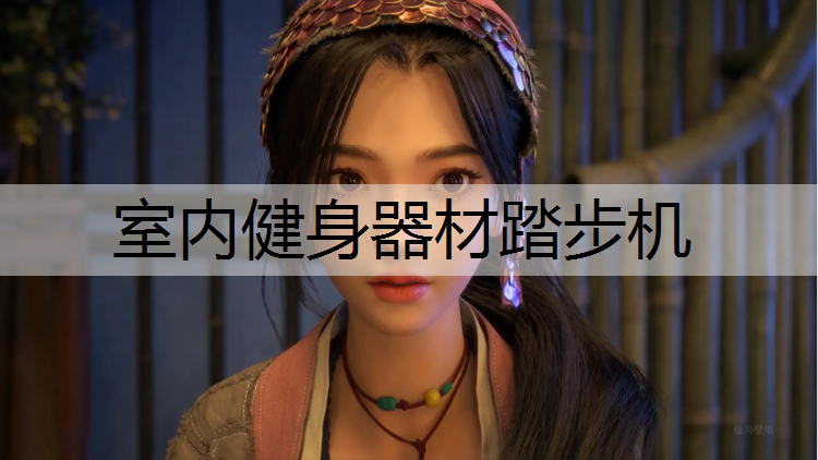 室内健身器材踏步机