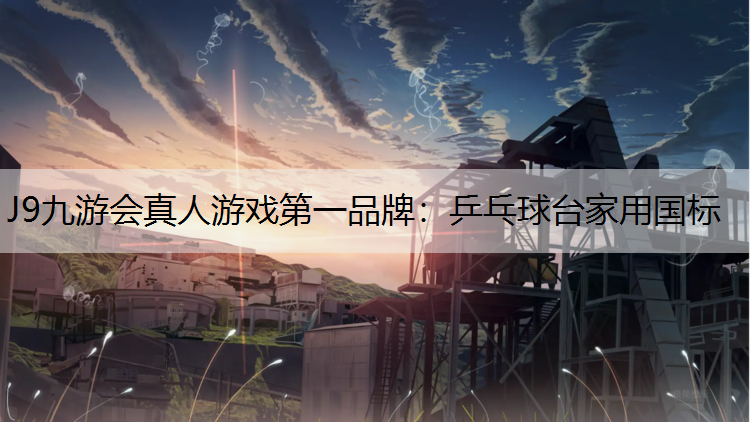 乒乓球台家用国标