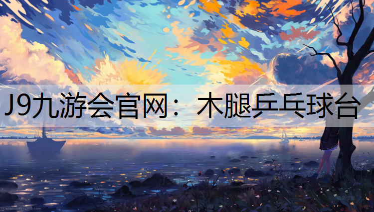 木腿乒乓球台